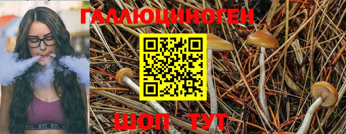 Псилоцибиновые грибы Magic Shrooms Юрга