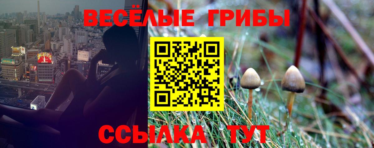 Юрга  дарнет шоп  Вход с VPN  Галлюциногенные грибы Psilocybe  Галлюциногенные грибы ЛСД 